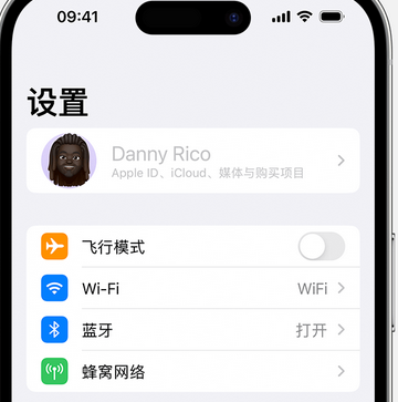 孝昌appleID维修服务iPhone设置中Apple ID显示为灰色无法使用 