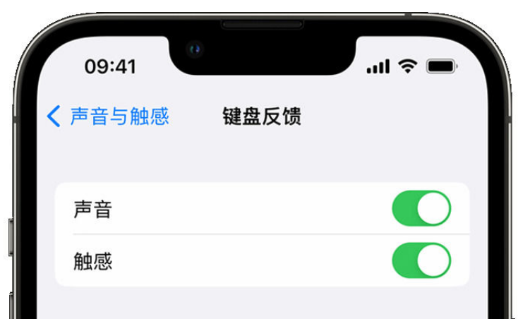 孝昌苹果手机维修分享iPhone 14触感键盘使用方法 