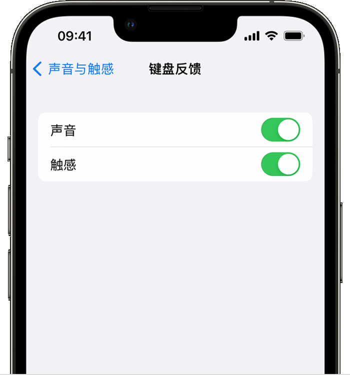 孝昌苹果14维修店分享如何在 iPhone 14 机型中使用触感键盘 