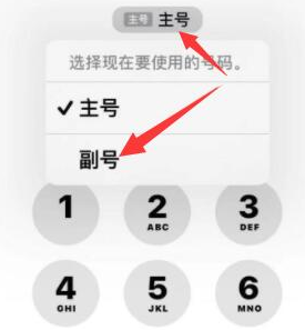 孝昌苹果14维修店分享iPhone 14 Pro Max使用副卡打电话的方法 