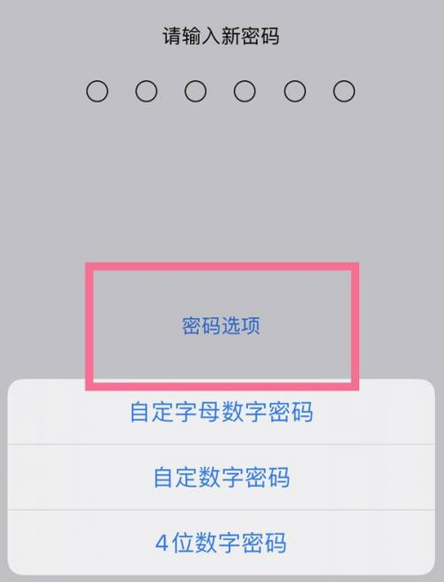 孝昌苹果14维修分享iPhone 14plus设置密码的方法 