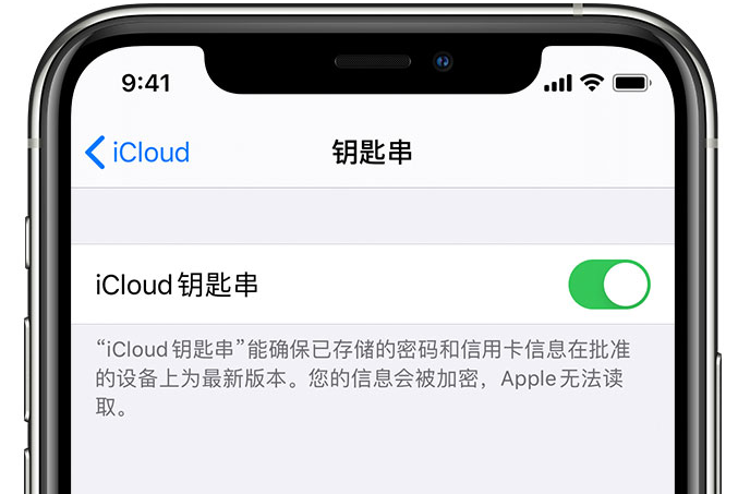 孝昌苹果手机维修分享在 iPhone 上开启 iCloud 钥匙串之后会储存哪些信息 