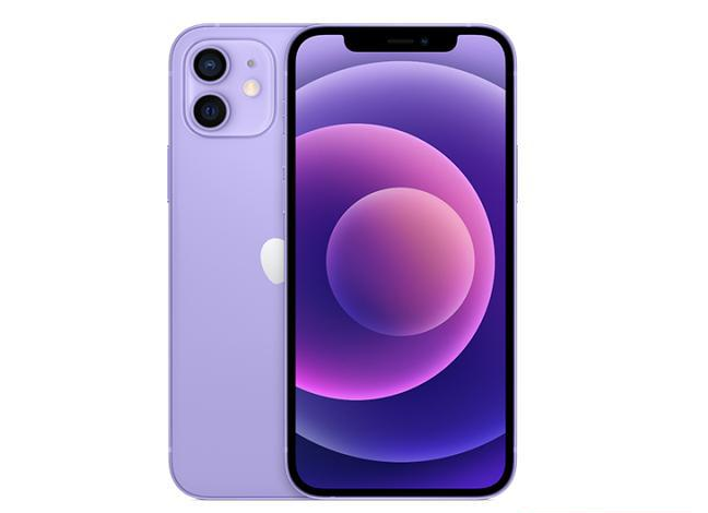 孝昌苹果手机维修分享现阶段要不要入手紫色版iPhone12 