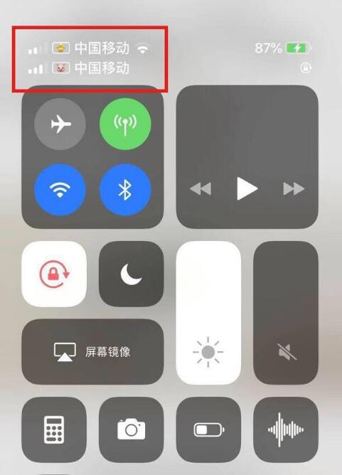 孝昌苹果手机维修分享为 iPhone 12 双卡设置标签 
